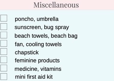 Miscellaneous Items for The Essential Disney Vacation Packing Checklist