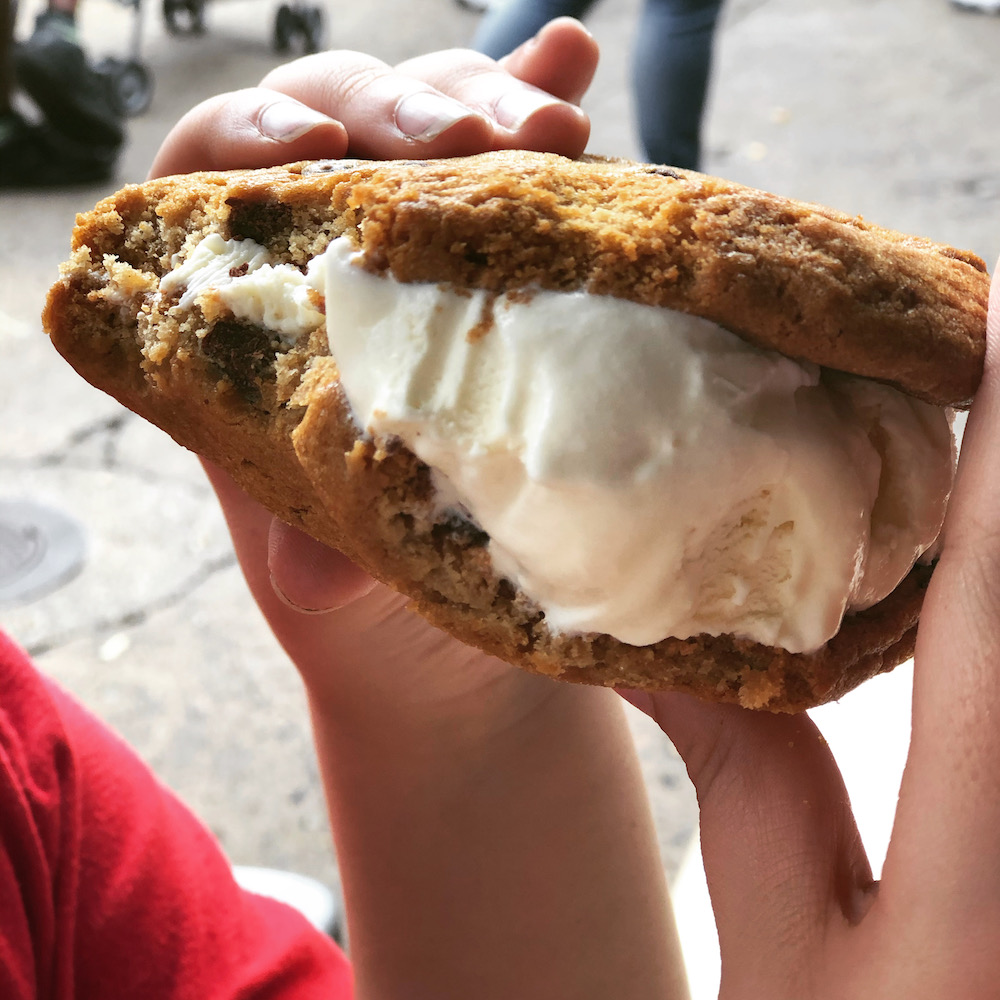 Ice Cream Sandwich Cookie from Dino-Bite Snacks in Animal Kingdom 
