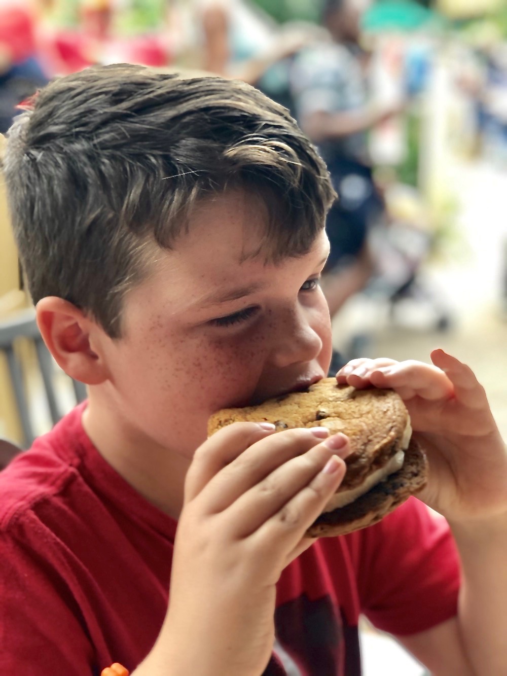 Giant Ice Cream Cookie Sandwich found at Dino-Bites in Animal Kingdom