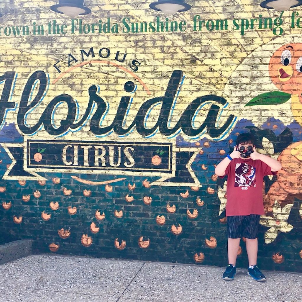 Florida Citrus Wall Mural in Disney Springs 