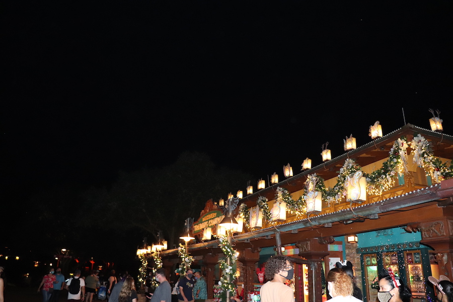 Twinkly lights and animal luminaries sparkle through the evening at Animal Kingdom. 