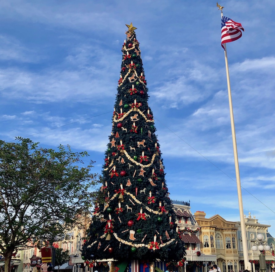 Christmas Tree in Magic Kingdom's Town Square