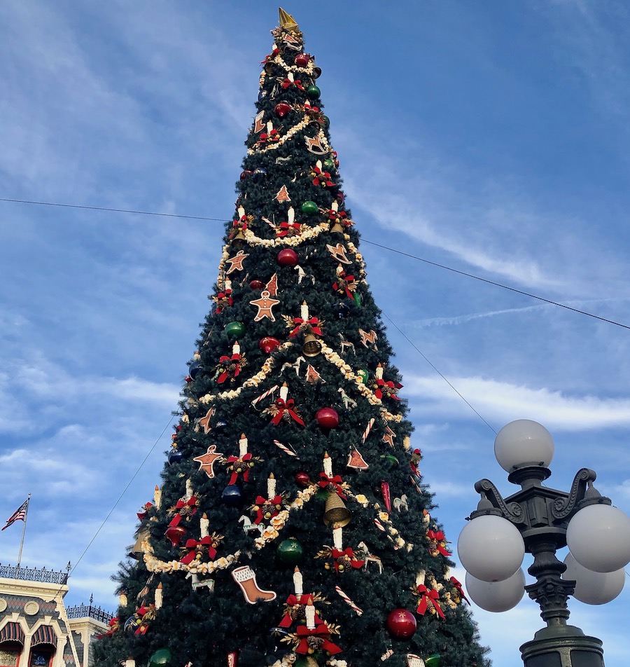 65 Foot Christmas Tree in Magic Kingdom