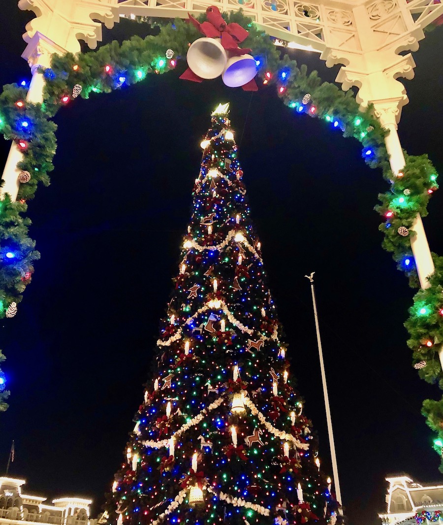 Magic Kingdom Christmas Tree view from the Emporium 