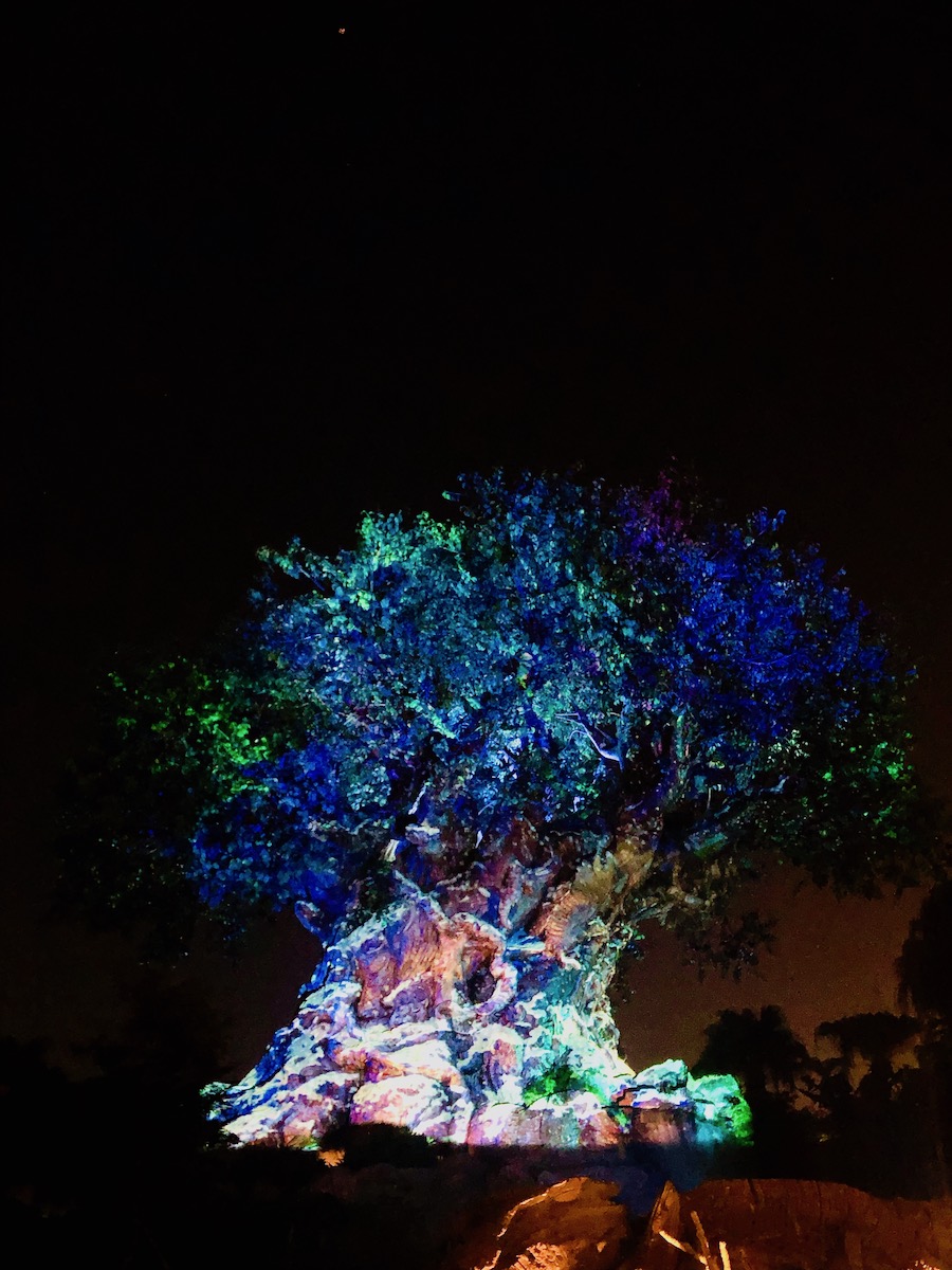 Snow falls on the Tree of Life with the use of holiday projections. 