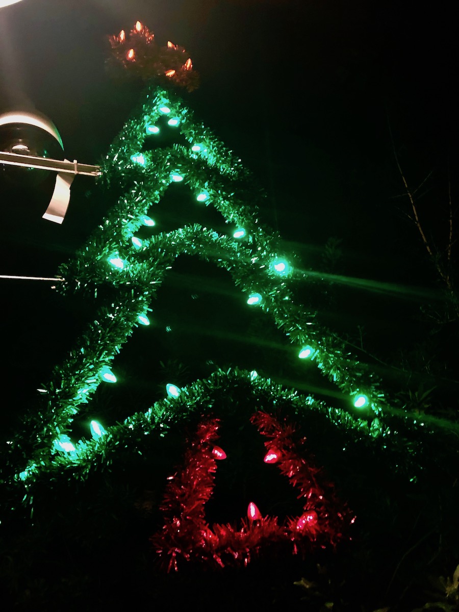 Quirky Christmas Tree lit up in DinoLand, U.S.A.!