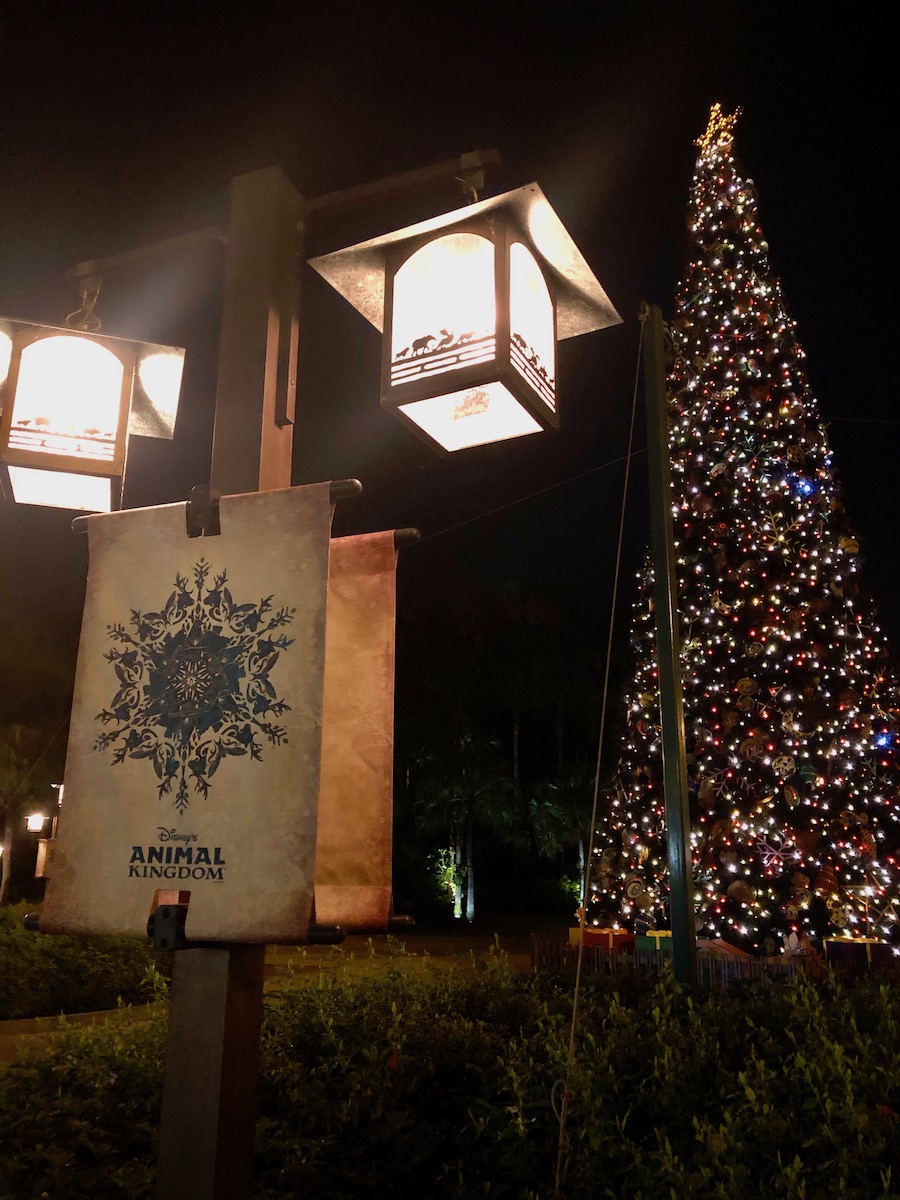 Animal Kingdom Banners and Christmas Tree lit up to welcome guests. 