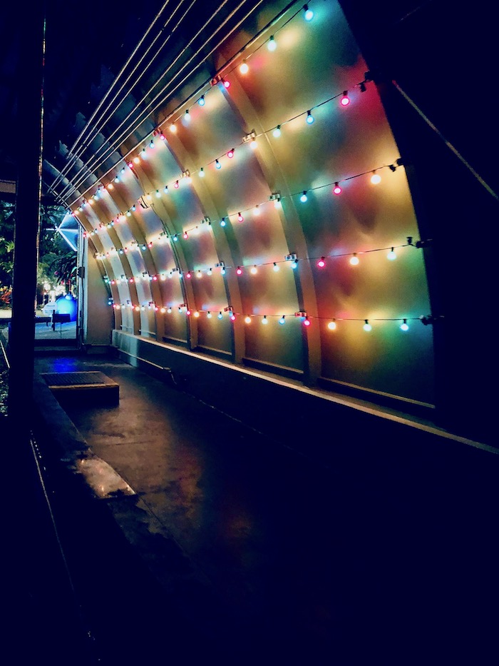 Tunnel lights as you enter into the Living with the Land greenhouses. 