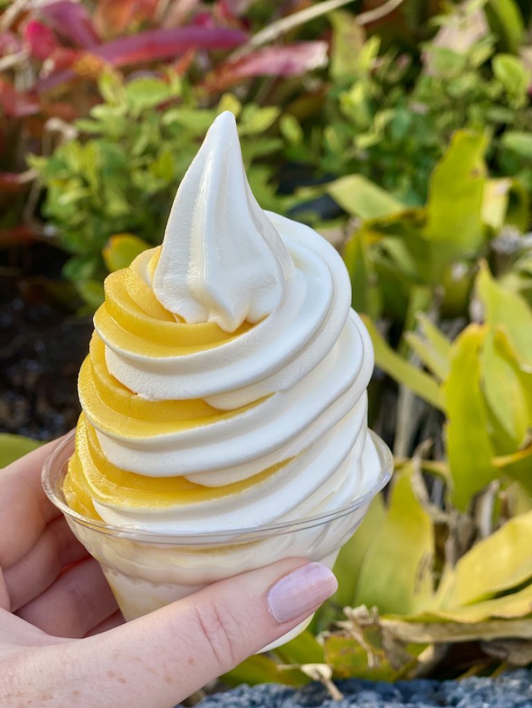 Citrus Swirl: Is it Really Better than the DOLE Whip?