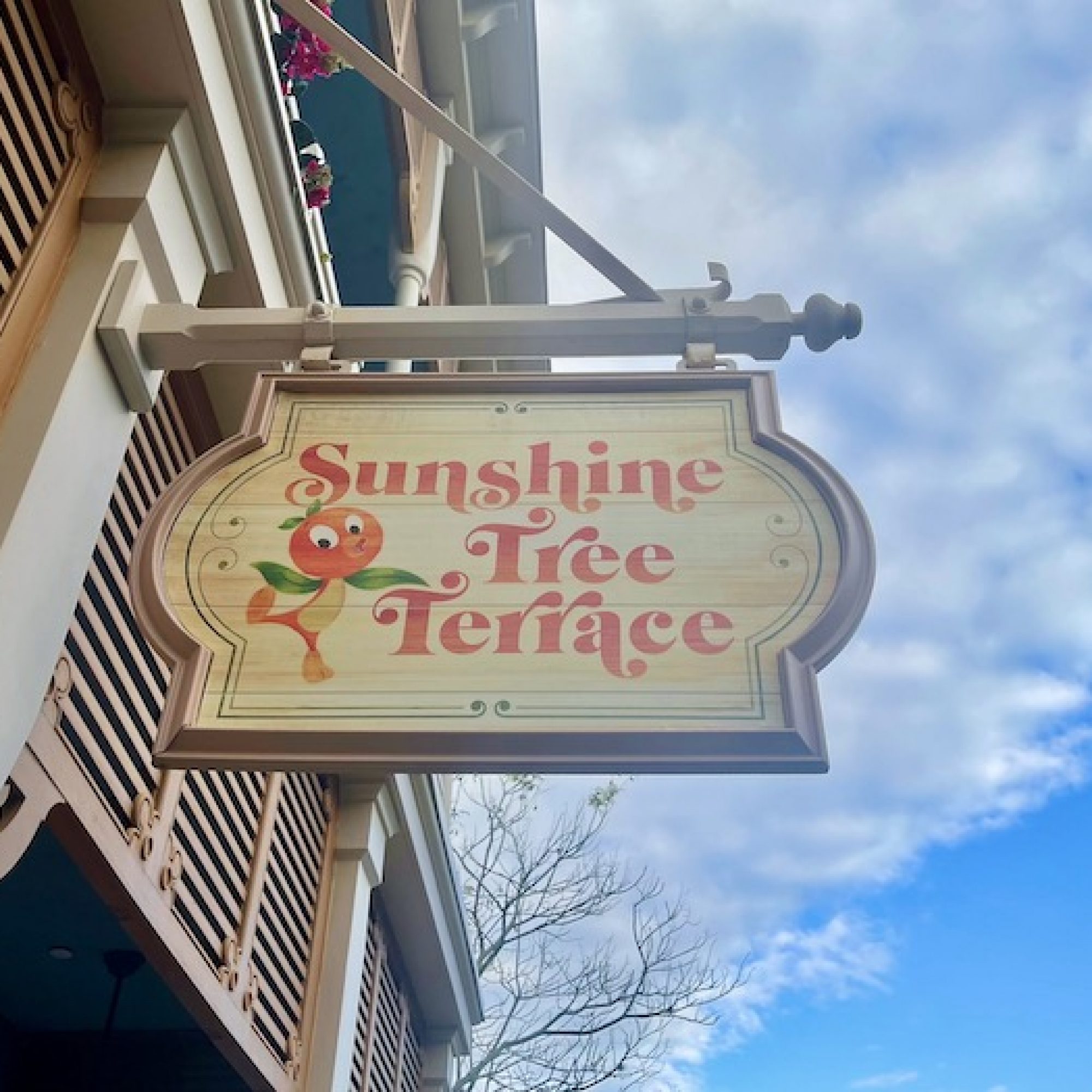 Citrus Swirl - Sunshine Tree Terrance at Magic Kingdom